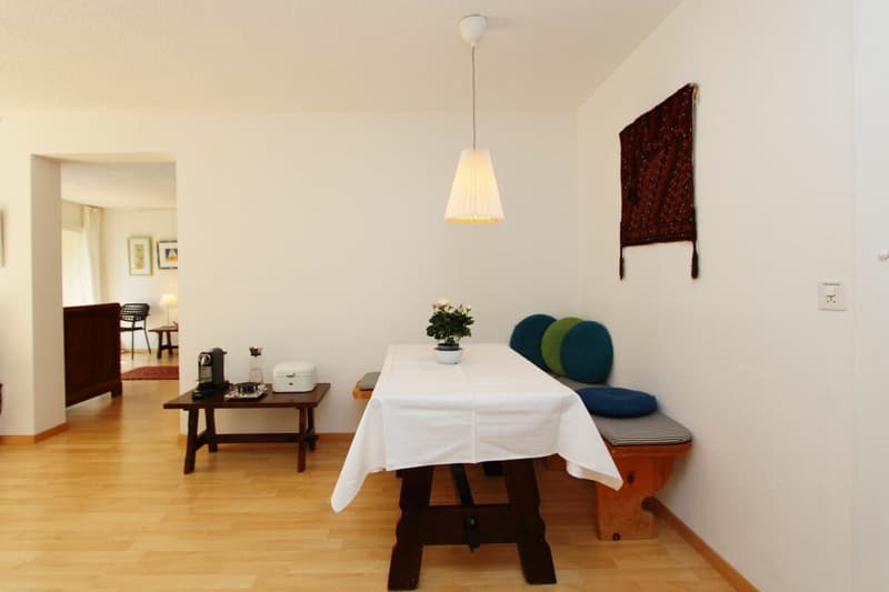 Grosse 2 Zimmerwohnung mit traumhafter Bergsicht (4)
