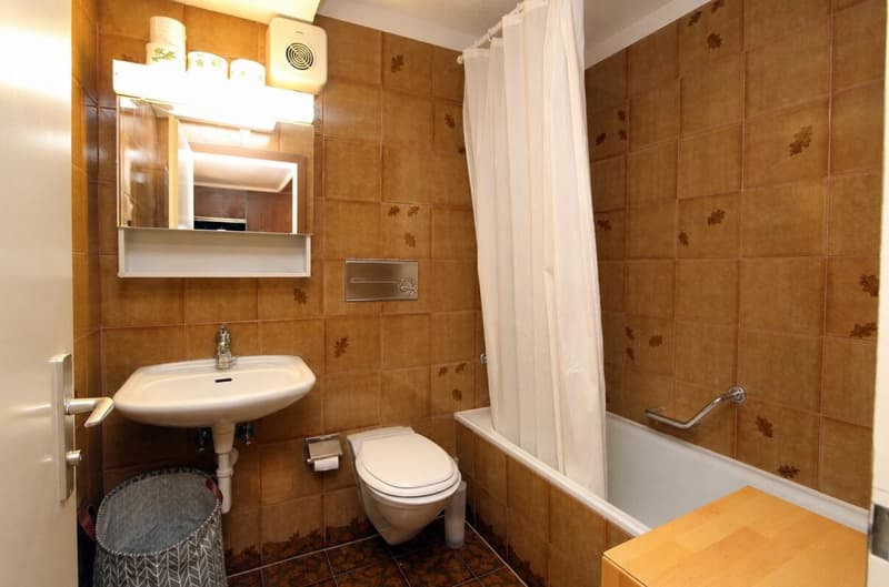 Grosse 2 Zimmerwohnung mit traumhafter Bergsicht (9)