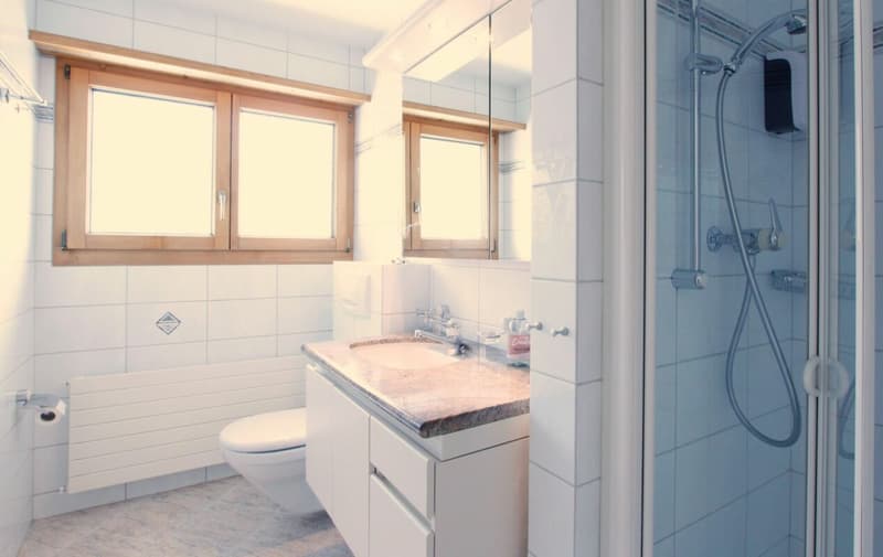 Geschmackvoll möblierte Ferienwohnung in Lain (9)