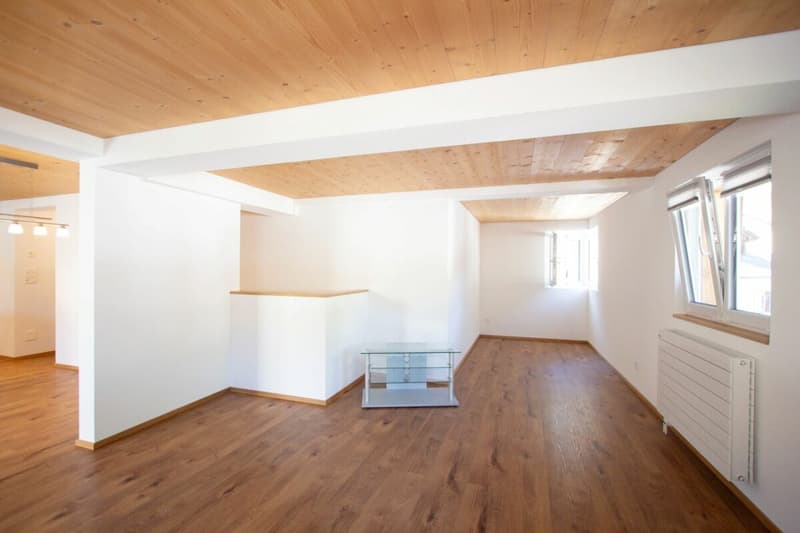 Grosszügige 3.5 Zimmerwohnung mit schönem Sitzplatz (2)