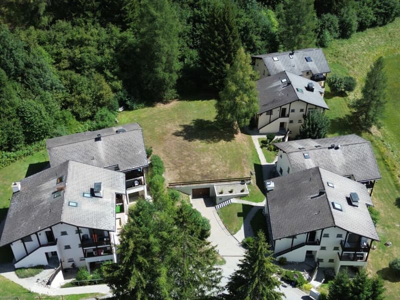 Schöne 3.5 Zimmerwohnung am Sonnenhang (12)