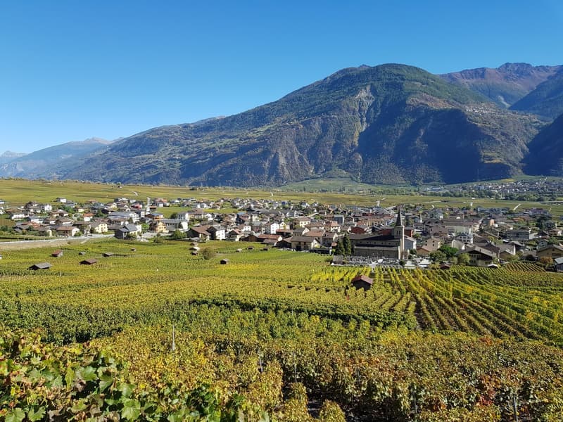 Vineyards and town surrounded by mountains