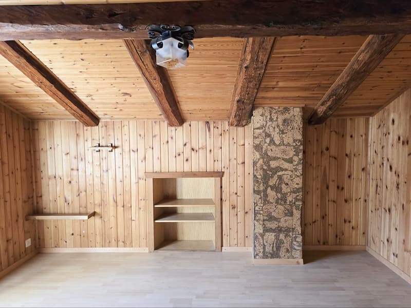 wooden interior, wooden shelves, ceiling lamp, empty room