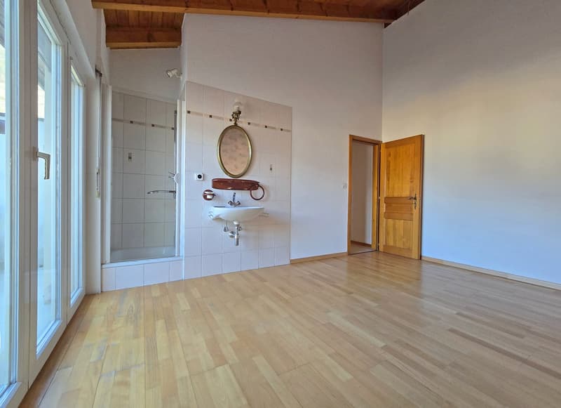 empty room, wooden floor, white walls, glass door, shower, sink, mirror