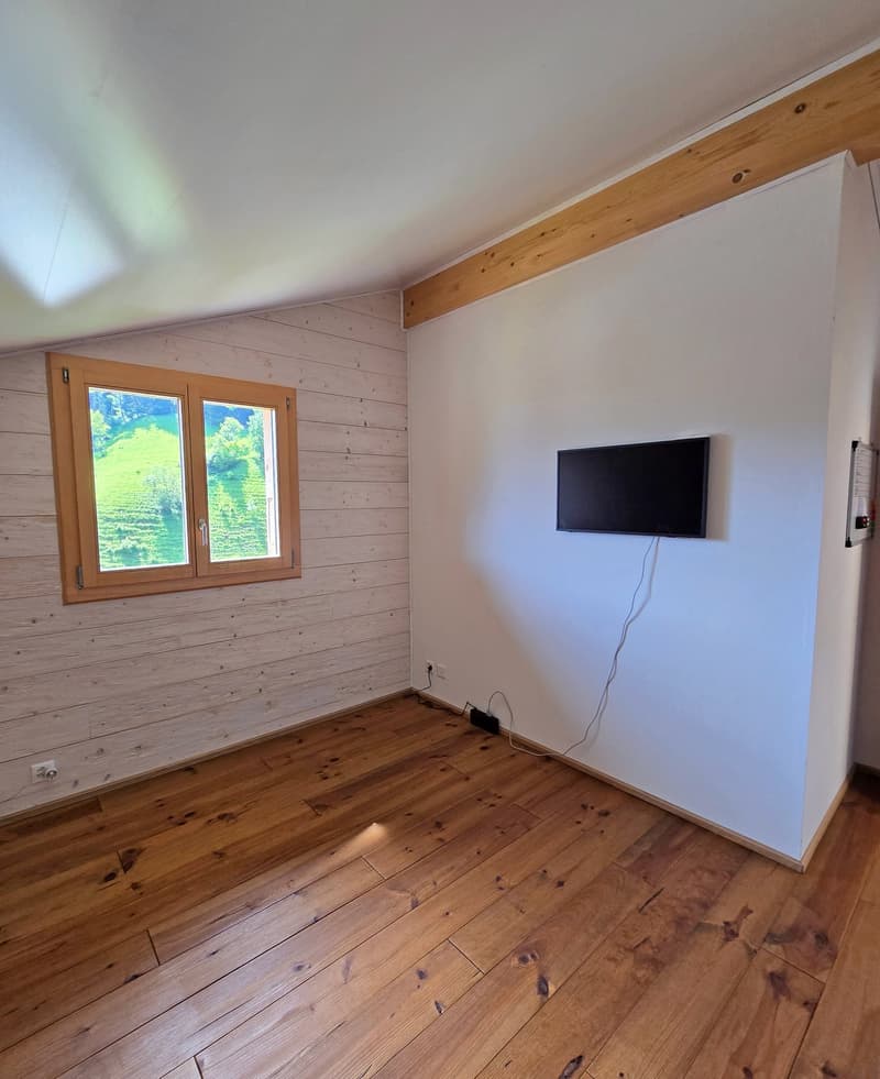 Le Fays - Charmante habitation rénovée indépendante (6)