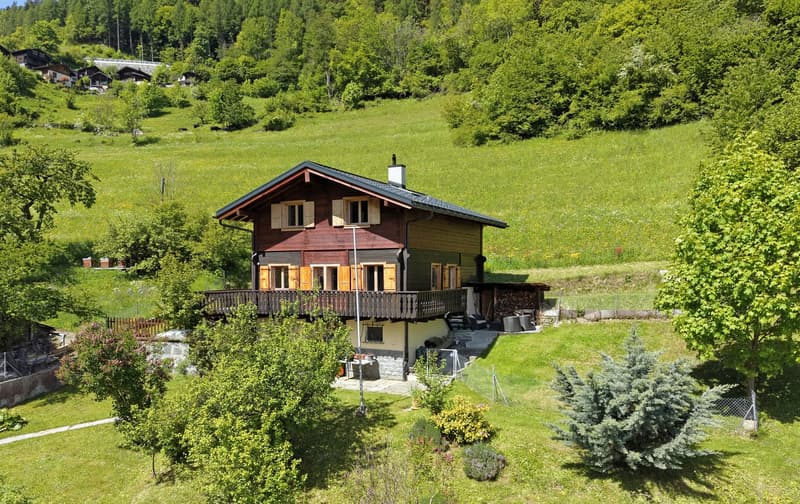 Le Fays - Charmante habitation rénovée indépendante (10)