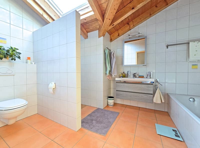 Grande villa familiale sur le coteau de Fully (6)