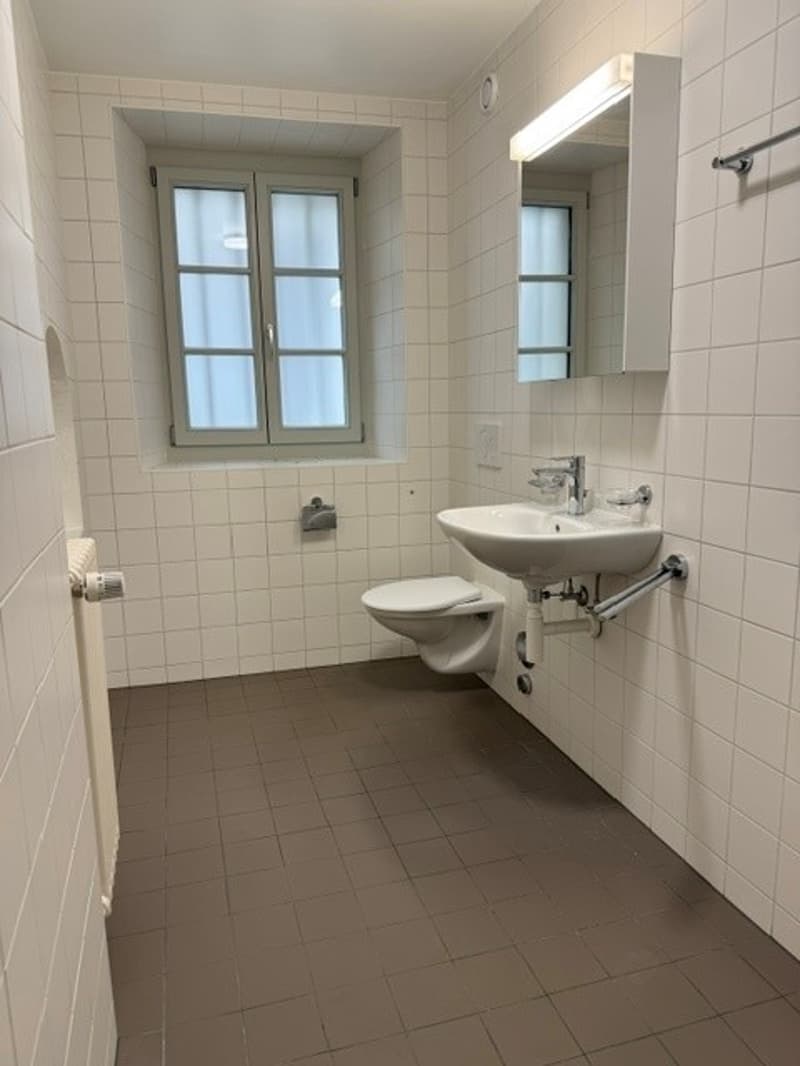 Spacieux appartement de 2 pièces dans un écrin de verdure à Lausanne (6)