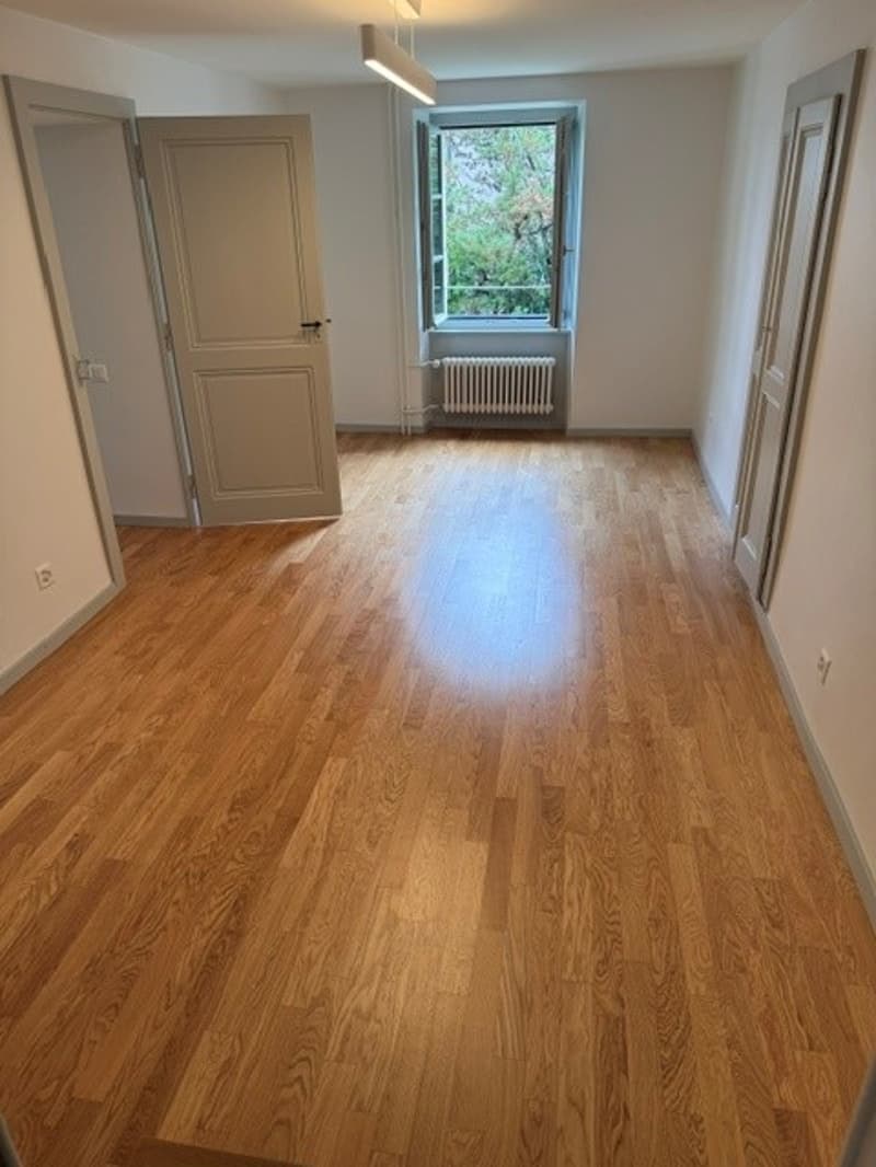 Spacieux appartement de 2 pièces dans un écrin de verdure à Lausanne (4)