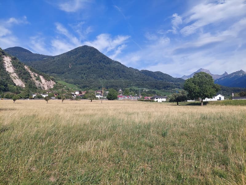 Terrain