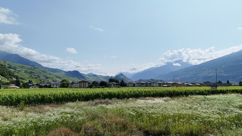 terrain / non-contractuel