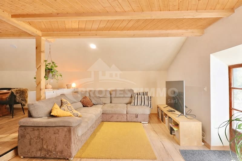 AUTHENTIQUE CHALET RÉNOVÉ AU COEUR DES ALPES VAUDOISES (3)
