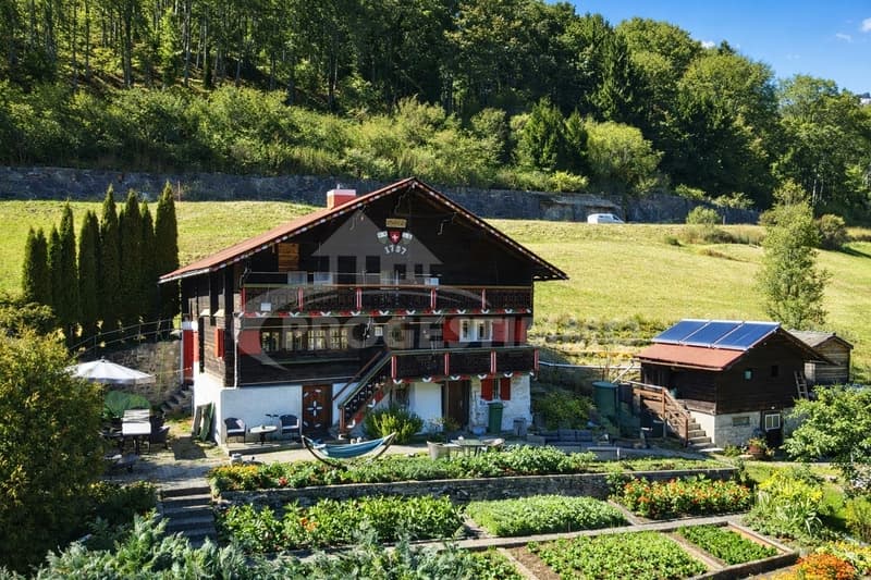 AUTHENTIQUE CHALET RÉNOVÉ AU COEUR DES ALPES VAUDOISES (1)