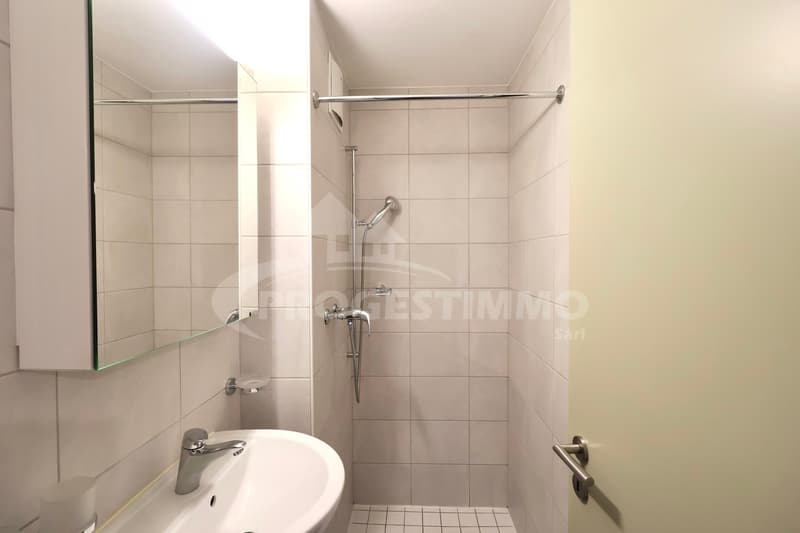 APPARTEMENT D'EXCEPTION AVEC VUE SUR LES ALPES (6)