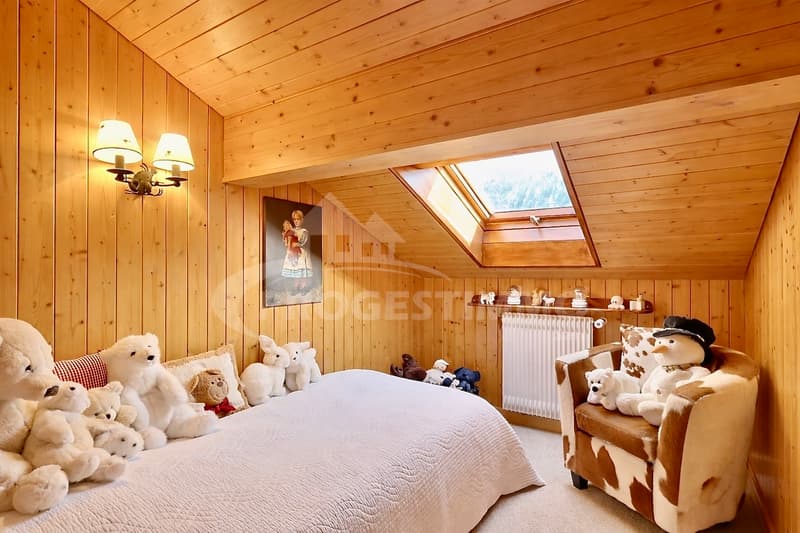 CHALET COUP DE COEUR AVEC TERRAIN, VUE ET LUMINOSITÉ (9)
