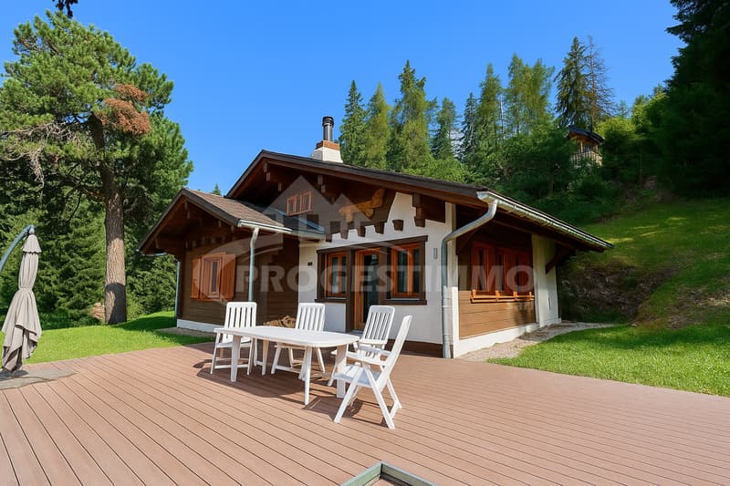 CHARMANT CHALET DANS HAVRE DE PAIX EN MONTAGNE (10)