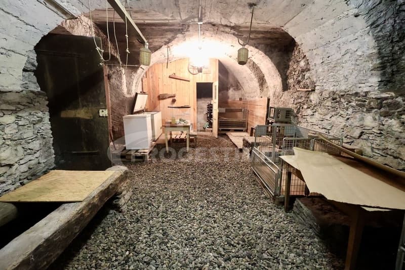 IMMEUBLE A FORT POTENTIEL - DEUX LOGEMENTS ET GRANGES TRANSFORMABLES (12)