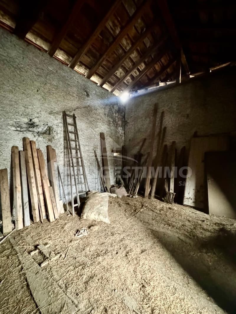 IMMEUBLE A FORT POTENTIEL - DEUX LOGEMENTS ET GRANGES TRANSFORMABLES (9)