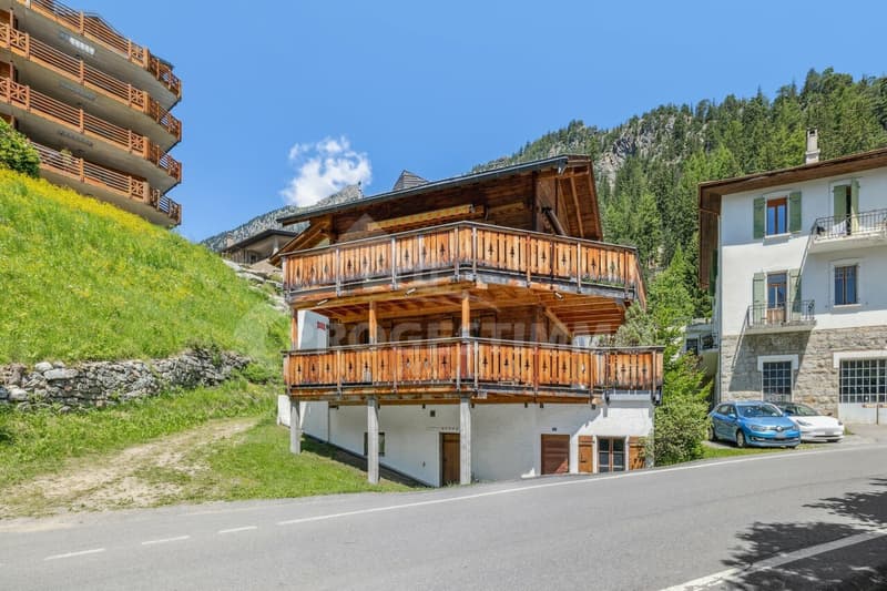 APPARTEMENT ENSOLEILLÉ EN PLEINE NATURE (10)