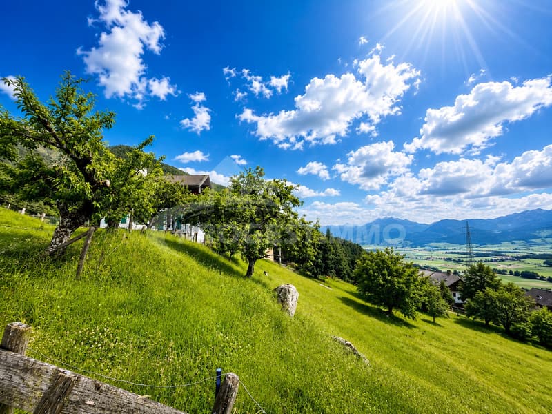 Terrain à bâtir de 3'424 m² (2)
