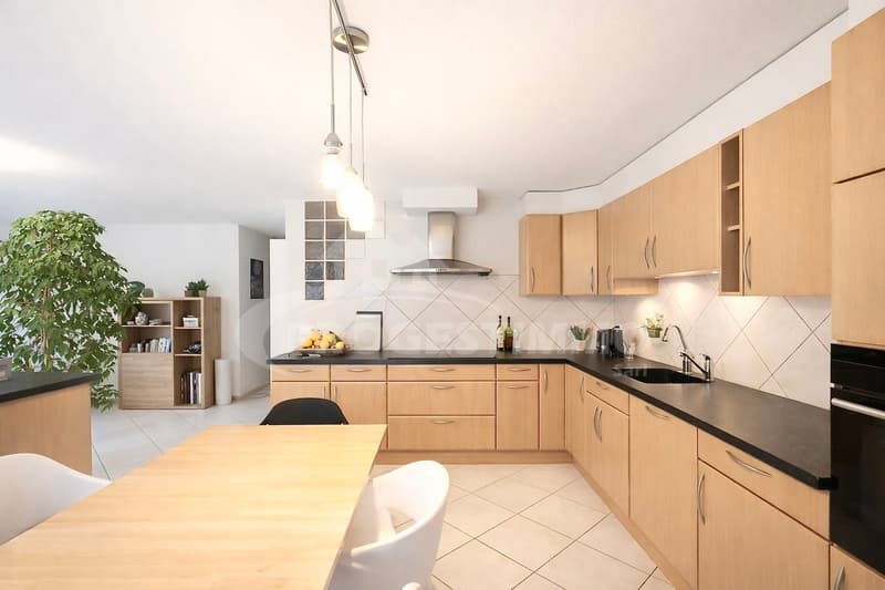 APPARTEMENT 4,5 PIÈCES AVEC VUE DÉGAGÉE SUR LES MONTAGNES (4)