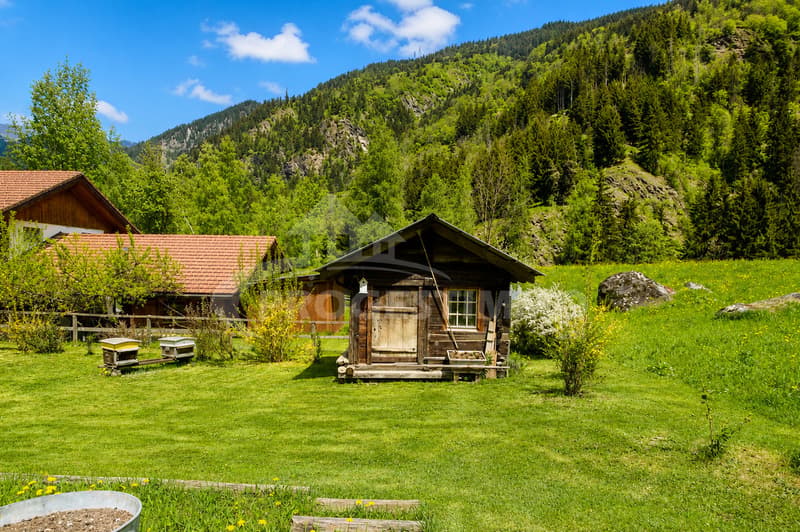 IDEALEMENT SITUE DANS LE VAL DE BAGNES (10)