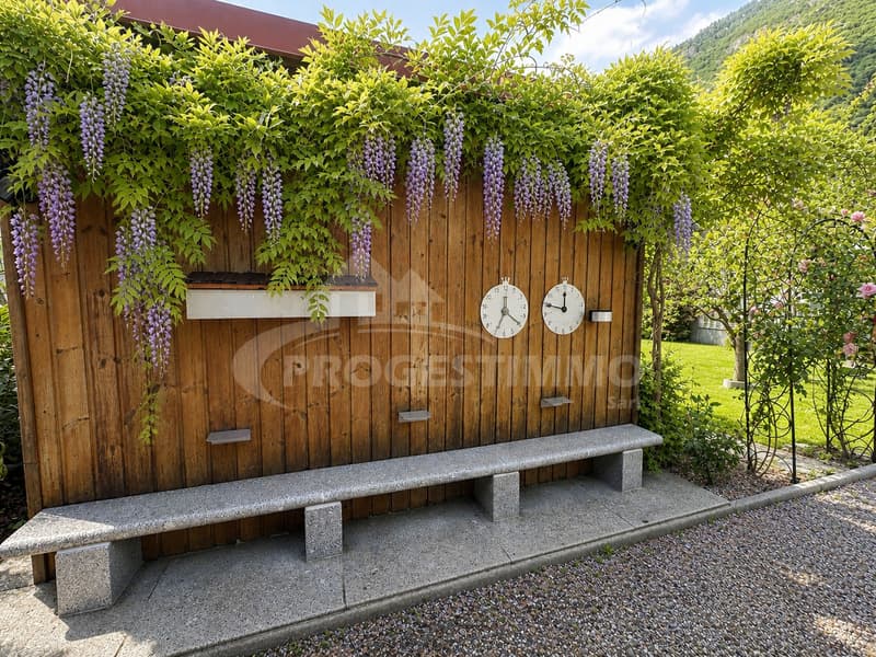 ART DE VIVRE A LA VALAISANNE (13)