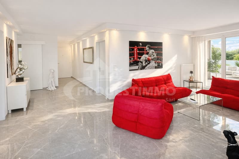 4.5 PIÈCES DE STANDING AVEC GRANDE TERRASSE (3)