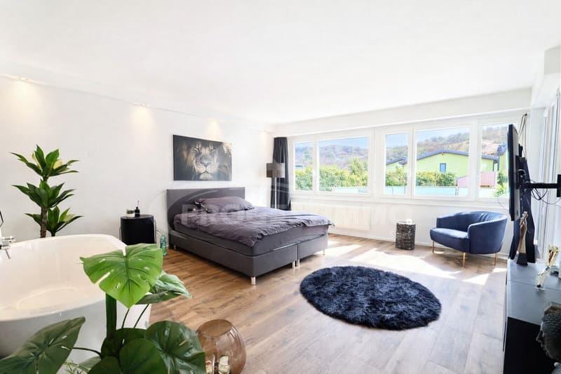 4.5 PIÈCES DE STANDING AVEC GRANDE TERRASSE (5)