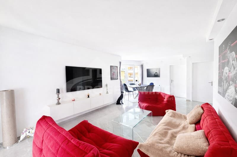 4.5 PIÈCES DE STANDING AVEC GRANDE TERRASSE (2)