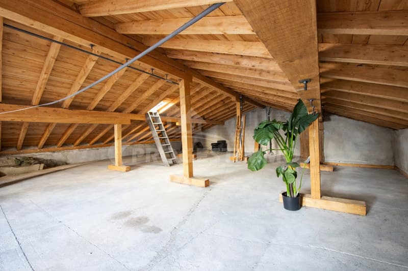 MAISON VILLAGEOISE AVEC POSSIBILITE D'AGRANDISSEMENT (10)