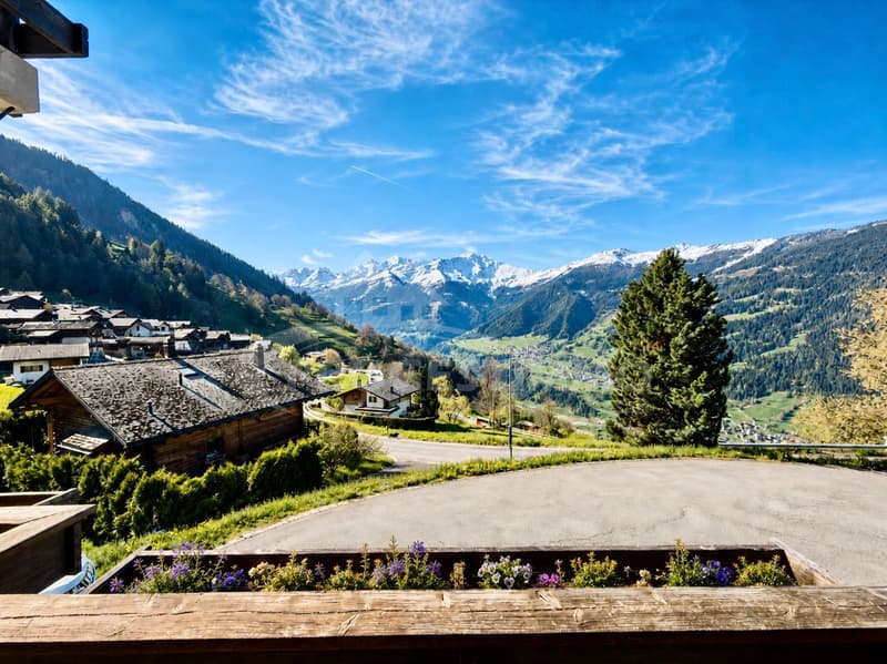 APPARTEMENT 4,5 PIÈCES D'EXCEPTION AVEC VUE PANORAMIQUE SUR LA VALLÉE (10)