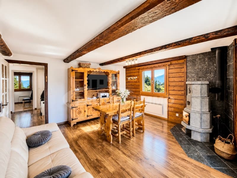 APPARTEMENT 4,5 PIÈCES D'EXCEPTION AVEC VUE PANORAMIQUE SUR LA VALLÉE (2)