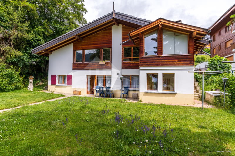 ENSEMBLE IMMOBILIER AVEC TERRAIN CONSTRUCTIBLE EN STATION (3)