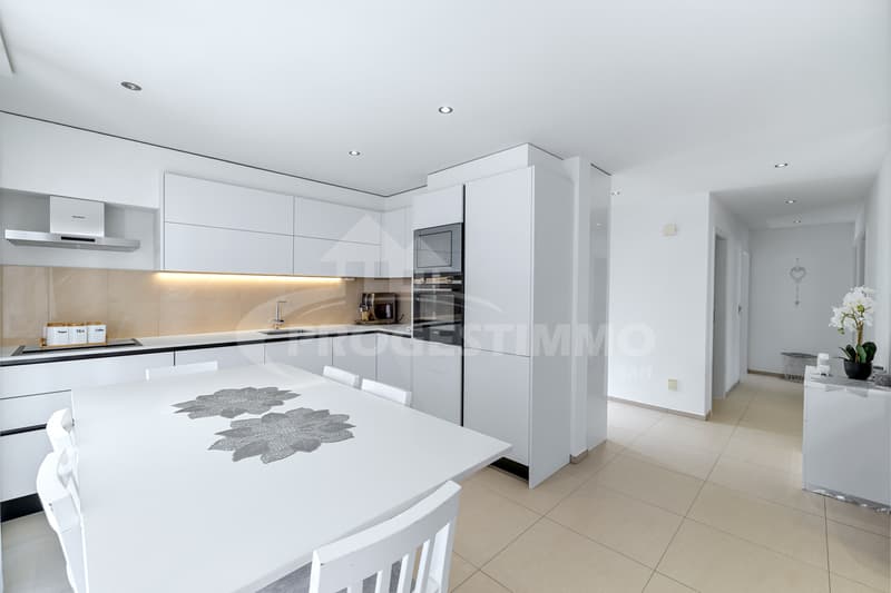 BELLE VILLA MODERNE DE DEUX LOGEMENTS (2)