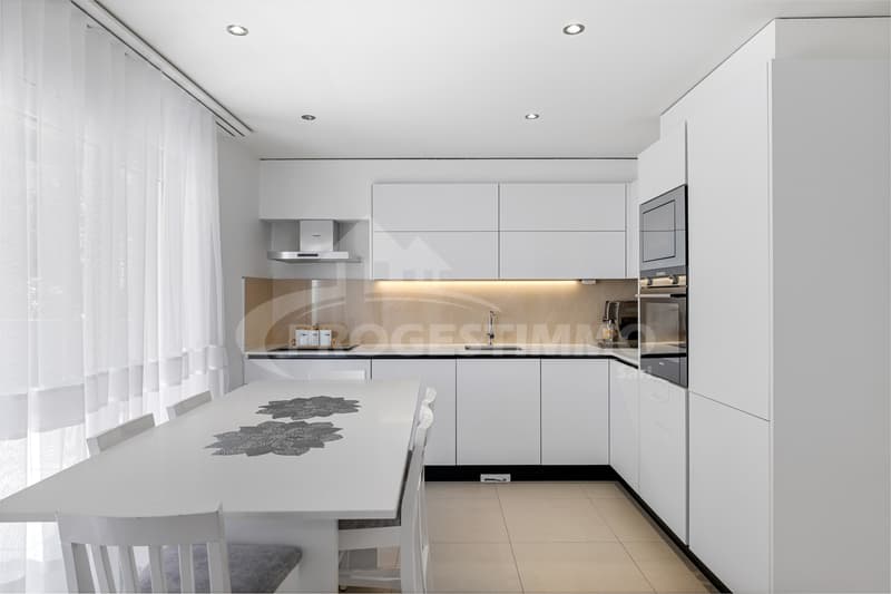 BELLE VILLA MODERNE DE DEUX LOGEMENTS (6)