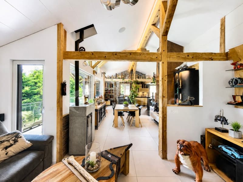 MAISON DE CHARME DANS UN QUARTIER PAISIBLE ET RECHERCHÉ (6)