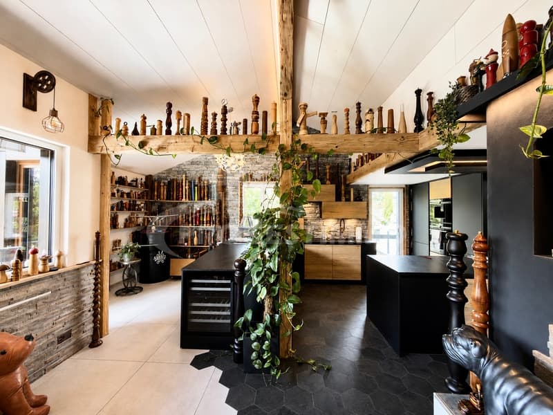 MAISON DE CHARME DANS UN QUARTIER PAISIBLE ET RECHERCHÉ (2)