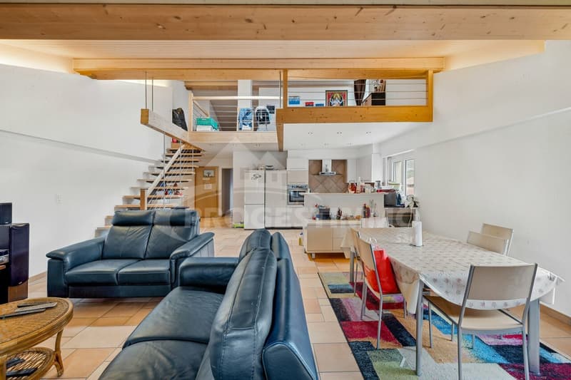 DUPLEX TRES LUMINEUX ET SPACIEUX (7)