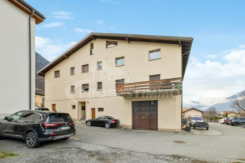 DUPLEX TRES LUMINEUX ET SPACIEUX (6)