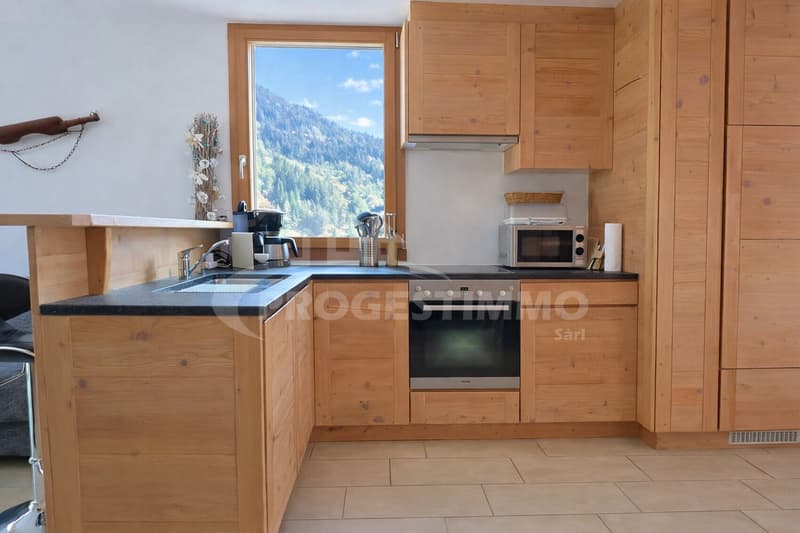 ENTIEREMENT MEUBLE AVEC DESIGN SOIGNE (5)