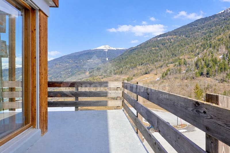 ENTIEREMENT MEUBLE AVEC DESIGN SOIGNE (10)