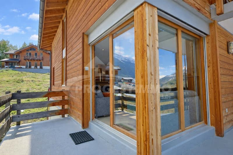 ENTIEREMENT MEUBLE AVEC DESIGN SOIGNE (9)