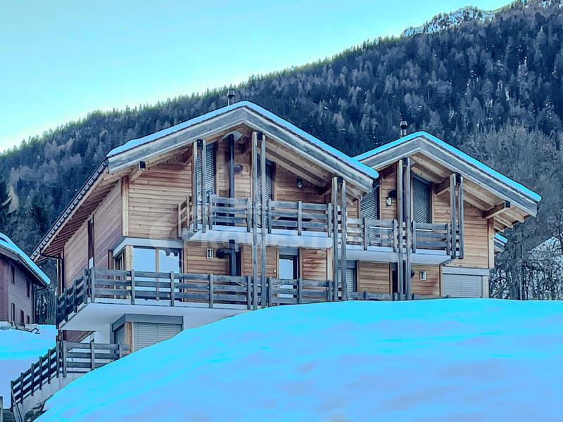 ENTIEREMENT MEUBLE AVEC DESIGN SOIGNE (11)