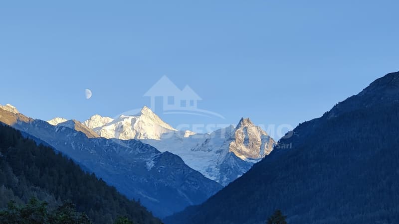 ENTIEREMENT MEUBLE AVEC DESIGN SOIGNE (13)