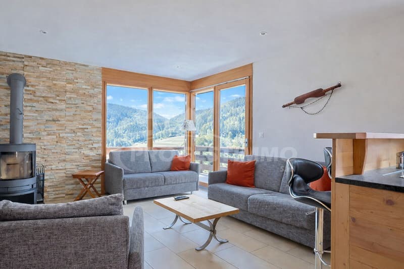 ENTIEREMENT MEUBLE AVEC DESIGN SOIGNE (2)