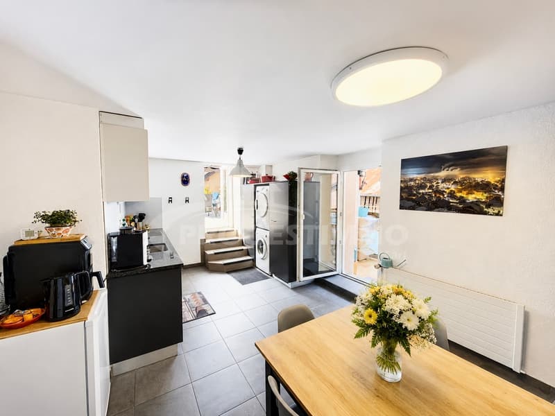 APPARTEMENT DE CHARME AVEC SPACIEUSE TERRASSE PANORAMIQUE (4)
