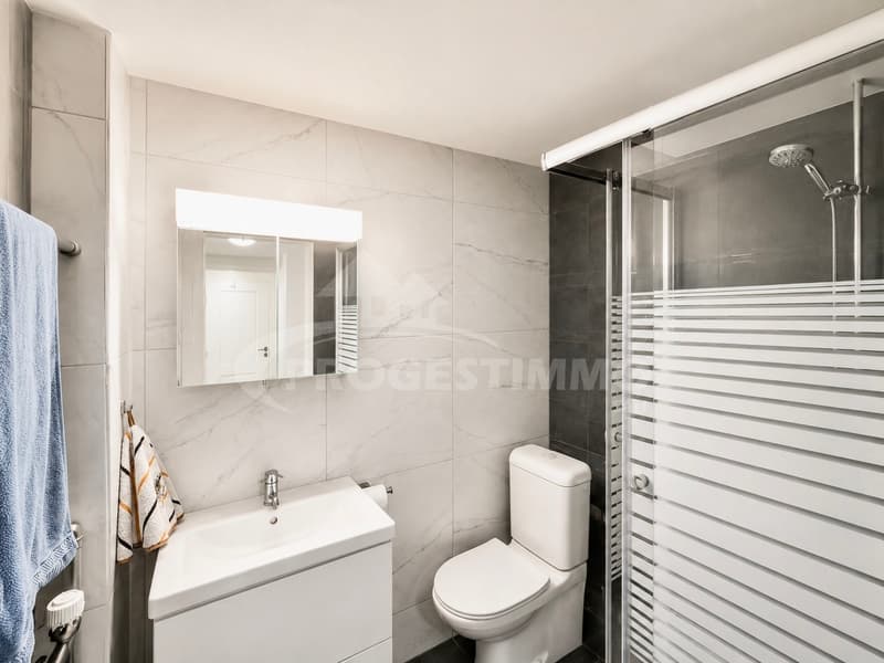 APPARTEMENT DE CHARME AVEC SPACIEUSE TERRASSE PANORAMIQUE (9)