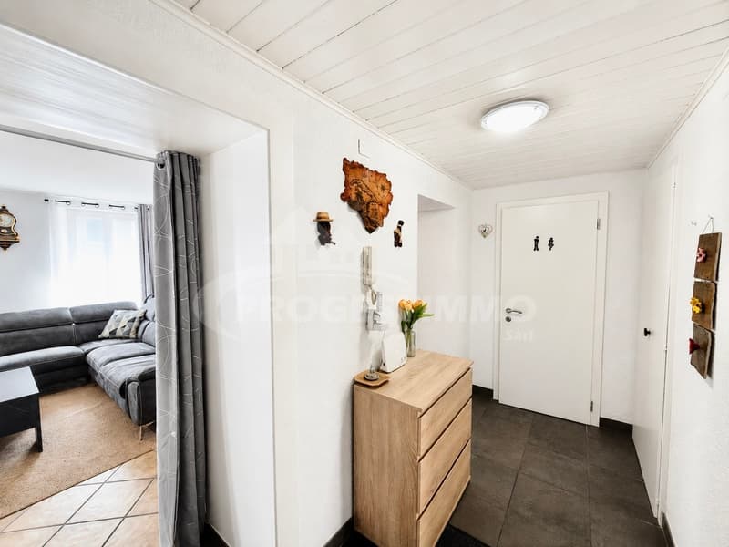 APPARTEMENT DE CHARME AVEC SPACIEUSE TERRASSE PANORAMIQUE (8)