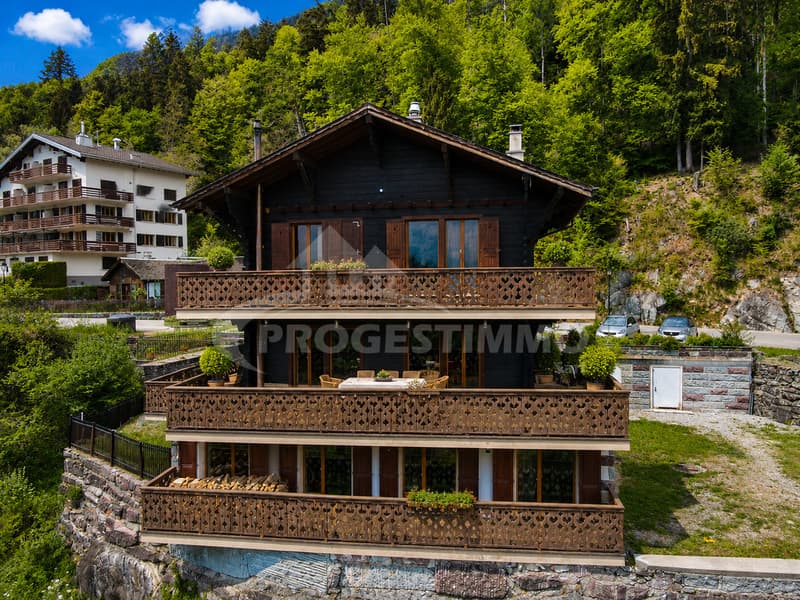 MAGNIFIQUE CHALET AUX VOLUMES EXCEPTIONNELS ET FORT POTENTIEL (11)